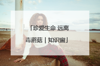 珍爱生命 远离毒蘑菇｜知识窗
