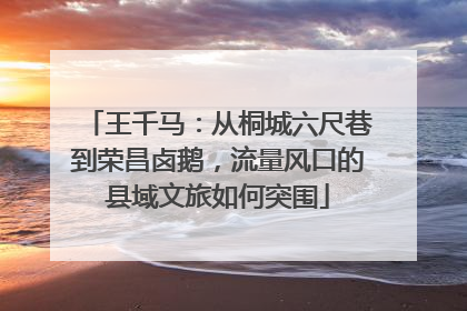 王千马：从桐城六尺巷到荣昌卤鹅，流量风口的县域文旅如何突围
