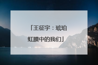 王征宇：琥珀虹膜中的我们