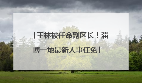 王林被任命副区长！淄博一地最新人事任免
