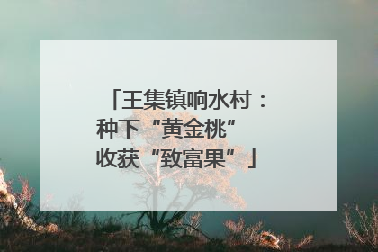 王集镇响水村：种下“黄金桃” 收获“致富果”