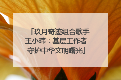 玖月奇迹组合歌手王小玮：基层工作者守护中华文明曙光