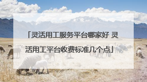 灵活用工服务平台哪家好 灵活用工平台收费标准几个点