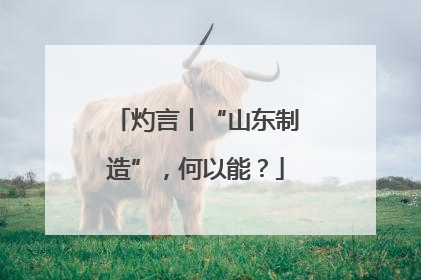 灼言丨“山东制造”，何以能？
