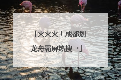 火火火！成都划龙舟霸屏热搜→