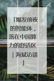爆发前夜的智能体，落在中国算力的舒适区｜海斌访谈