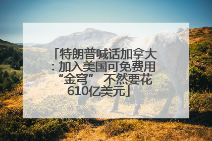 特朗普喊话加拿大：加入美国可免费用“金穹” 不然要花610亿美元