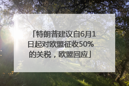 特朗普建议自6月1日起对欧盟征收50%的关税，欧盟回应
