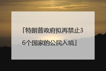 特朗普政府拟再禁止36个国家的公民入境