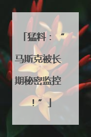 猛料：“马斯克被长期秘密监控！”