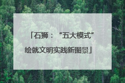 石狮：“五大模式”绘就文明实践新图景