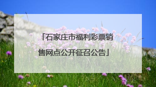 石家庄市福利彩票销售网点公开征召公告