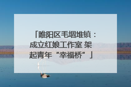 睢阳区毛堌堆镇：成立红娘工作室 架起青年“幸福桥”