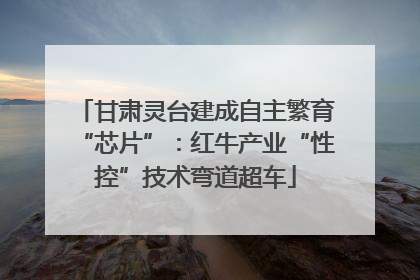 甘肃灵台建成自主繁育“芯片”：红牛产业“性控”技术弯道超车