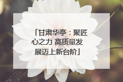甘肃华亭：聚匠心之力 高质量发展迈上新台阶