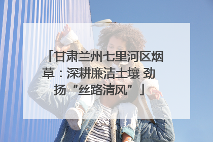 甘肃兰州七里河区烟草：深耕廉洁土壤 劲扬“丝路清风”