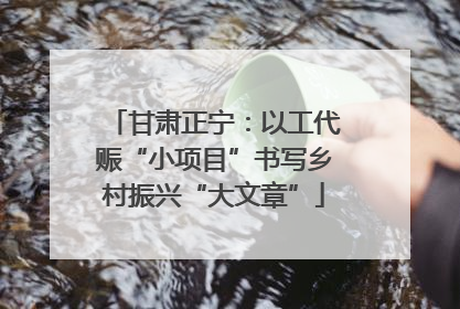 甘肃正宁：以工代赈“小项目”书写乡村振兴“大文章”