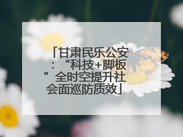 甘肃民乐公安：“科技+脚板”全时空提升社会面巡防质效