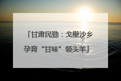甘肃民勤：戈壁沙乡孕育“甘味”领头羊