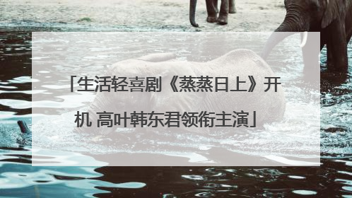 生活轻喜剧《蒸蒸日上》开机 高叶韩东君领衔主演