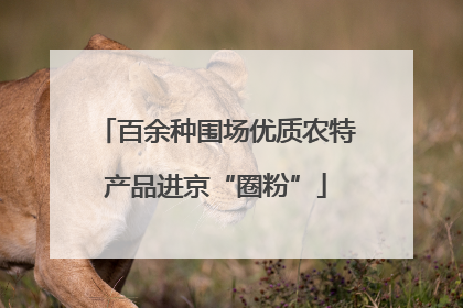 百余种围场优质农特产品进京“圈粉”