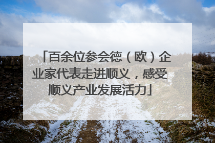百余位参会德（欧）企业家代表走进顺义，感受顺义产业发展活力