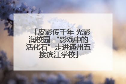 皮影传千年 光影润校园 “影戏中的活化石”走进通州五接滨江学校