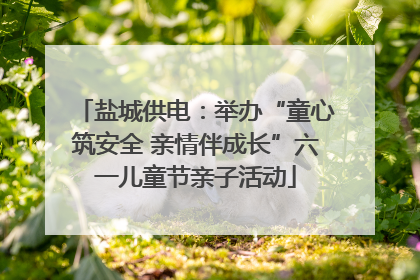 盐城供电：举办“童心筑安全 亲情伴成长”六一儿童节亲子活动