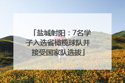 盐城射阳：7名学子入选省橄榄球队并接受国家队选拔