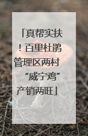 真帮实扶！百里杜鹃管理区两村“威宁鸡”产销两旺