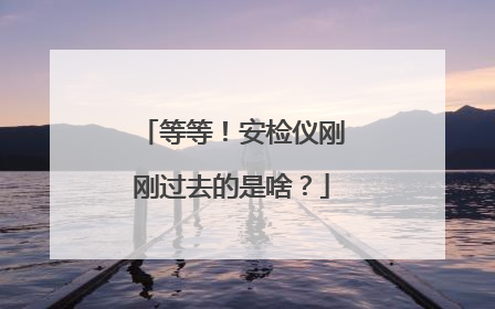 等等！安检仪刚刚过去的是啥？