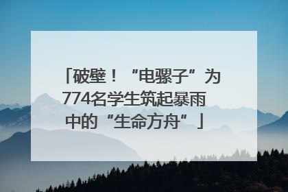破壁！“电骡子”为774名学生筑起暴雨中的“生命方舟”