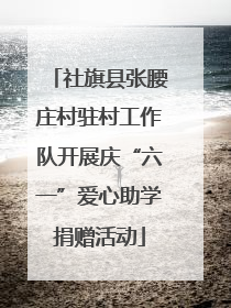 社旗县张腰庄村驻村工作队开展庆“六一”爱心助学捐赠活动