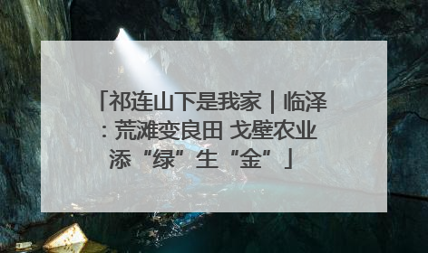 祁连山下是我家｜临泽：荒滩变良田 戈壁农业添“绿”生“金”