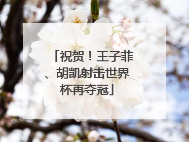 祝贺！王子菲、胡凯射击世界杯再夺冠