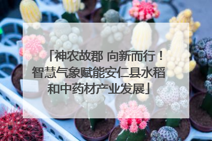 神农故郡 向新而行！智慧气象赋能安仁县水稻和中药材产业发展