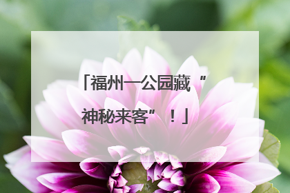 福州一公园藏“神秘来客”！