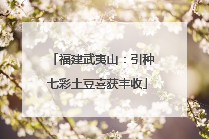 福建武夷山：引种七彩土豆喜获丰收