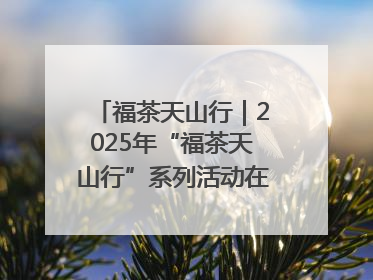 福茶天山行｜2025年“福茶天山行”系列活动在昌吉州启动
