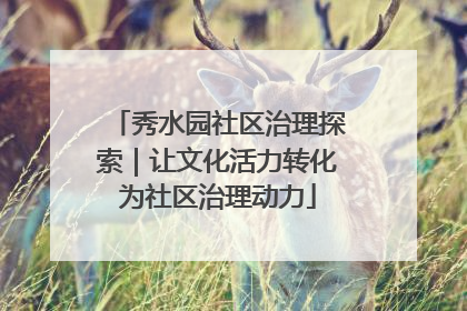 秀水园社区治理探索｜让文化活力转化为社区治理动力
