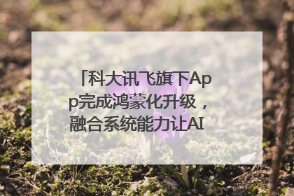 科大讯飞旗下App完成鸿蒙化升级，融合系统能力让AI服务触手可及