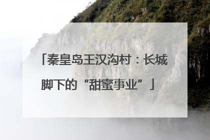 秦皇岛王汉沟村：长城脚下的“甜蜜事业”