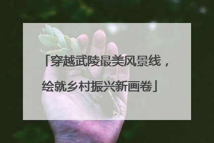 穿越武陵最美风景线，绘就乡村振兴新画卷