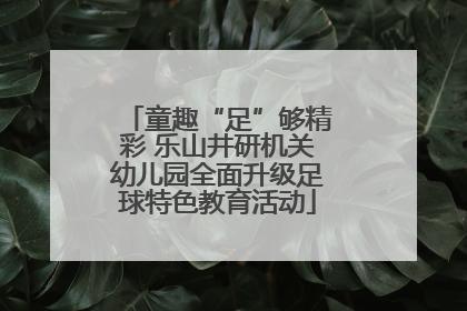 童趣“足”够精彩 乐山井研机关幼儿园全面升级足球特色教育活动