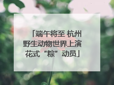 端午将至 杭州野生动物世界上演花式“粽”动员
