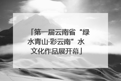 第一届云南省“绿水青山·彩云南”水文化作品展开幕