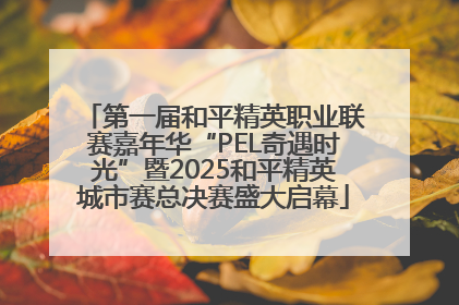 第一届和平精英职业联赛嘉年华“PEL奇遇时光”暨2025和平精英城市赛总决赛盛大启幕