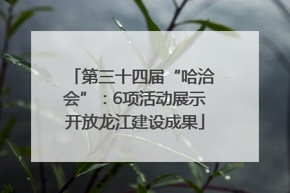 第三十四届“哈洽会”：6项活动展示开放龙江建设成果