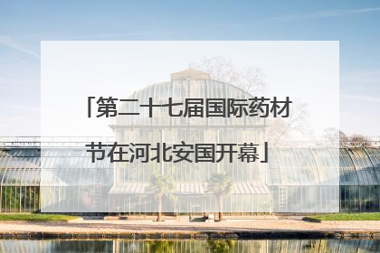 第二十七届国际药材节在河北安国开幕