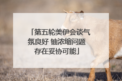 第五轮美伊会谈气氛良好 铀浓缩问题存在妥协可能